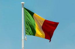 A green-yellow-and-red flag blows in the wind.