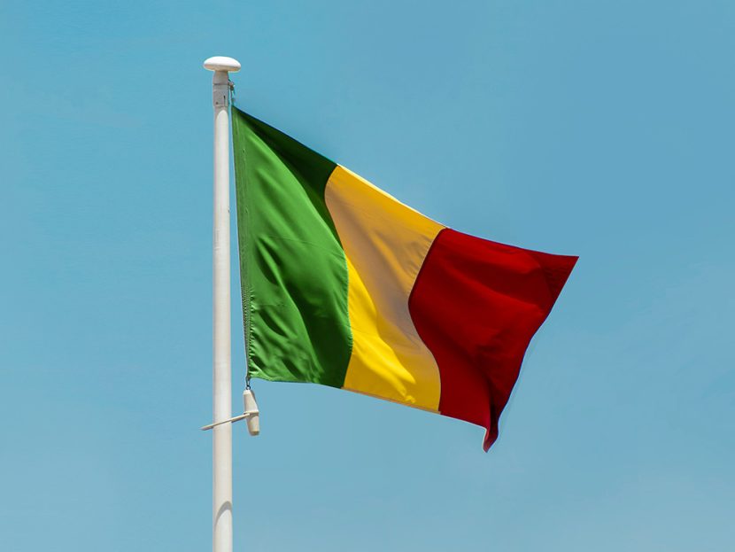 A green-yellow-and-red flag blows in the wind.