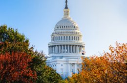 A tall, white, domed building surrounded by red, green, and yellow trees.