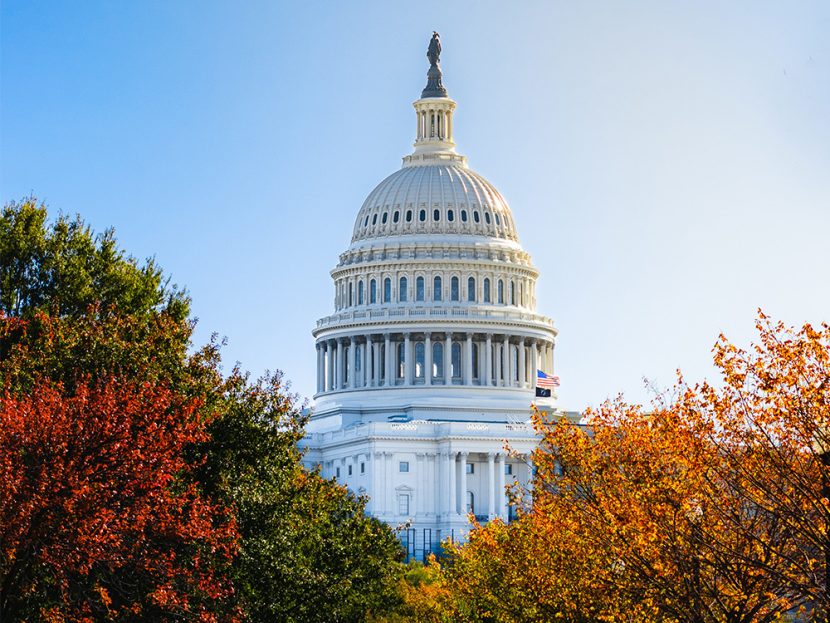 A tall, white, domed building surrounded by red, green, and yellow trees.