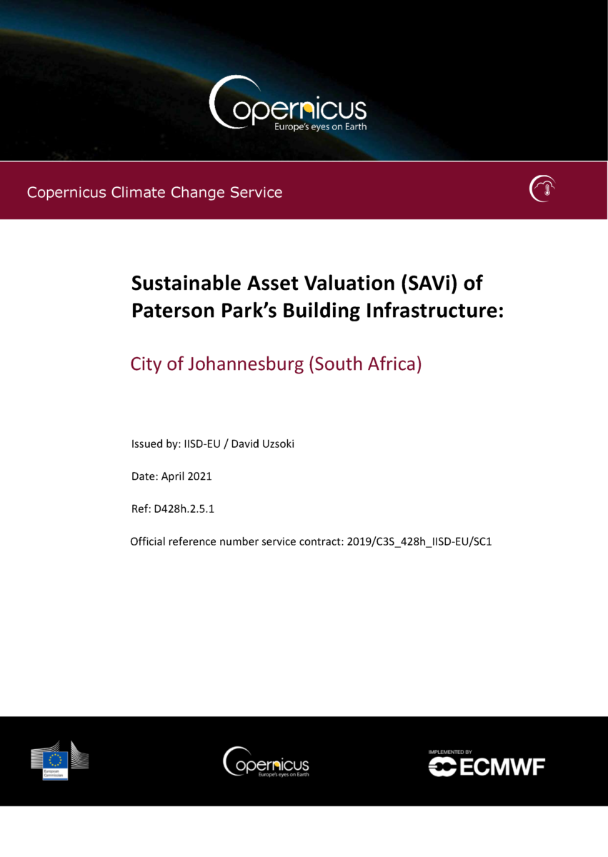 cover of the Sustainable Asset Valuation (SAVi) of Paterson Park's Building Infrastructure: City of Johannesburg (South Africa)