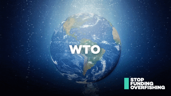 gif showing number of organizations who urge the WTO to end subsidies that drive overfishing (174) with underwater globe in the background