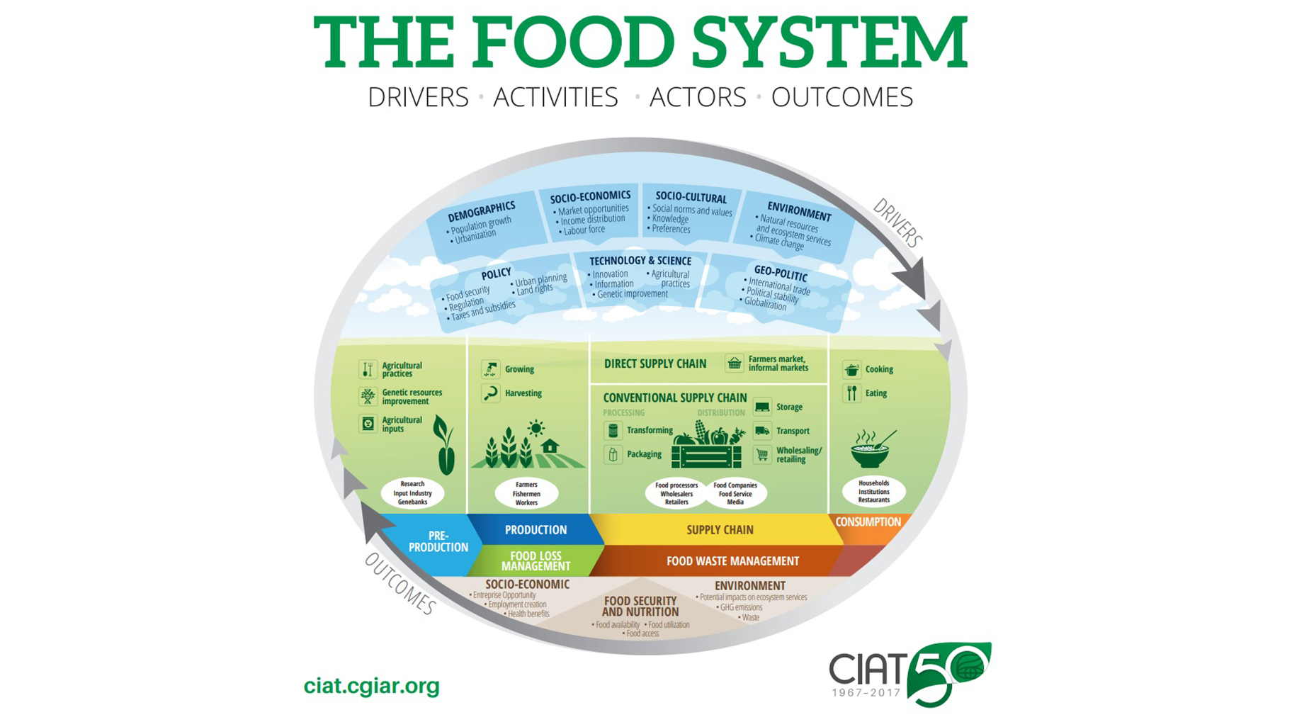 Система фуд. Food System. Global food Supply Chains. Global value Chain. Sustainable economic food.