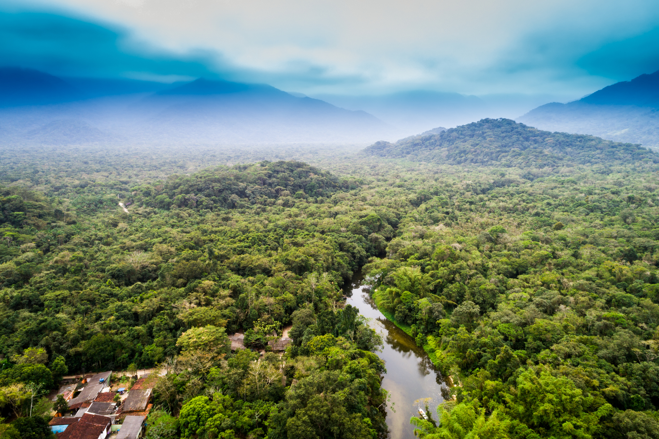 Overhead shot of the amazon rainforest and surrounding nature in South America