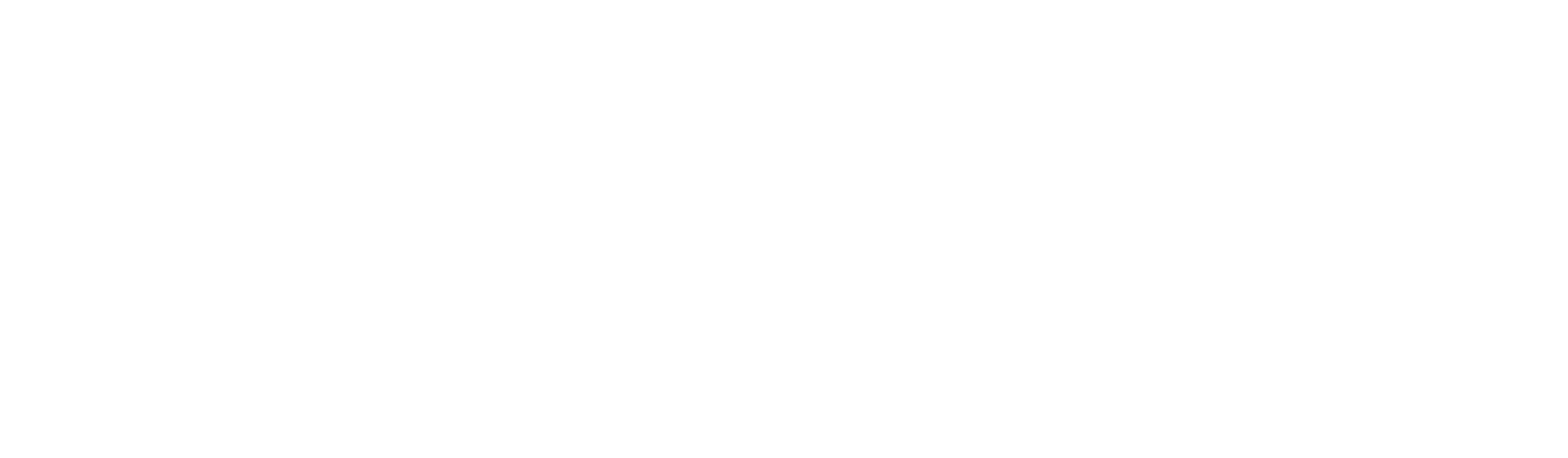 White colour version of the full CAPA logo