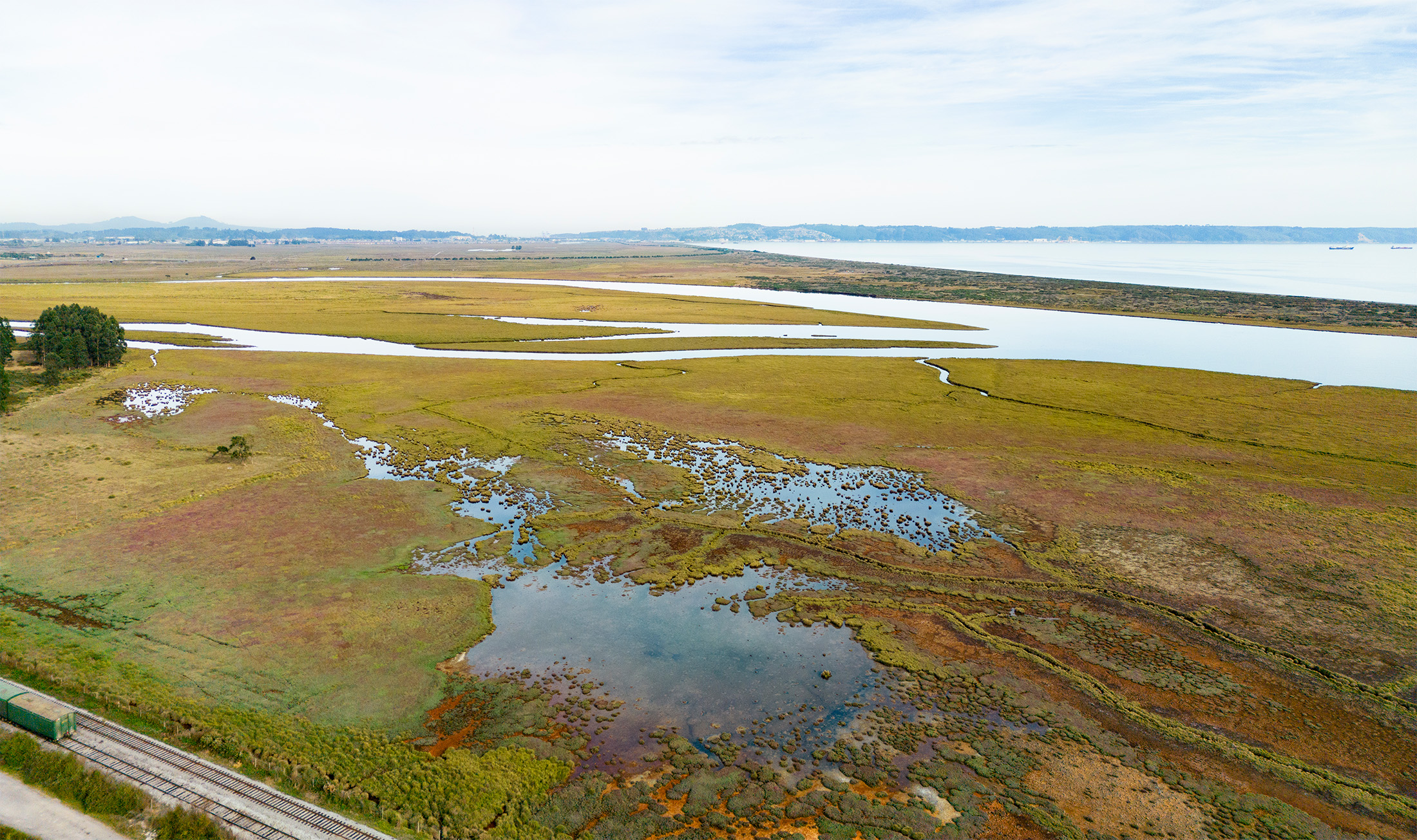 Aerial view of flat wetland with the coast toward the top right.