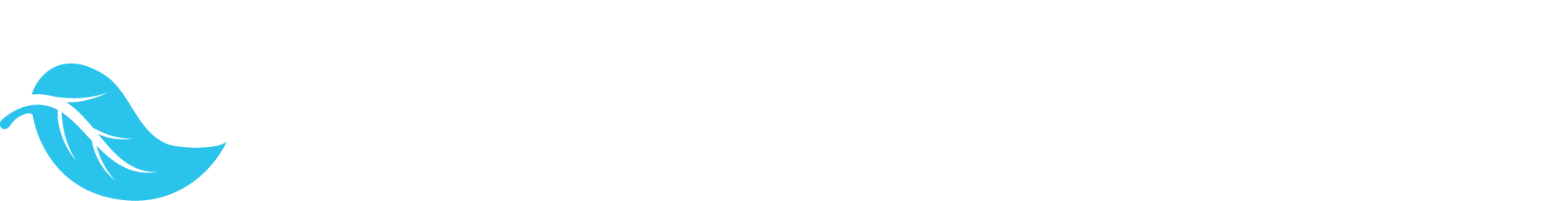 NBI logo in primary white text and colour