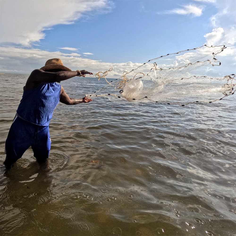 Fisherman stands in shallow water and throws a fishing net in the air.