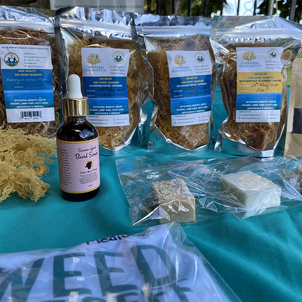Bags of seaweed products for sale on a table with teal cloth.
