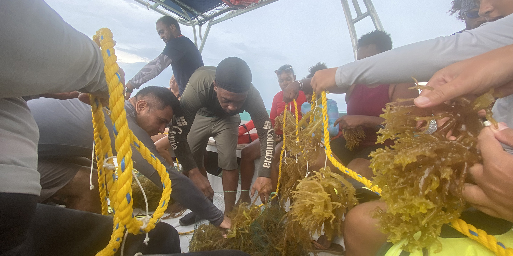 Group of people on a boat tying seaweed to a yellow rope.