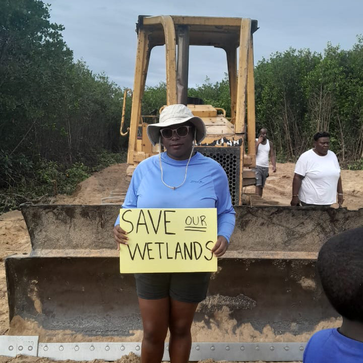Woman stands in front of a bulldozer with a sign saying "Save our wetlands."