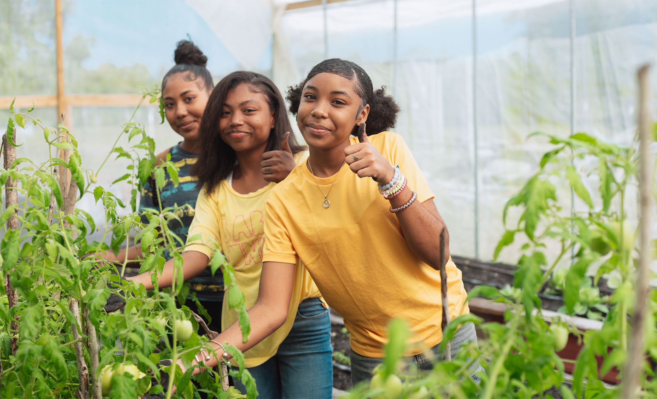 Three women giving thumbs ups standing in a greenhouse beside tomato plants.