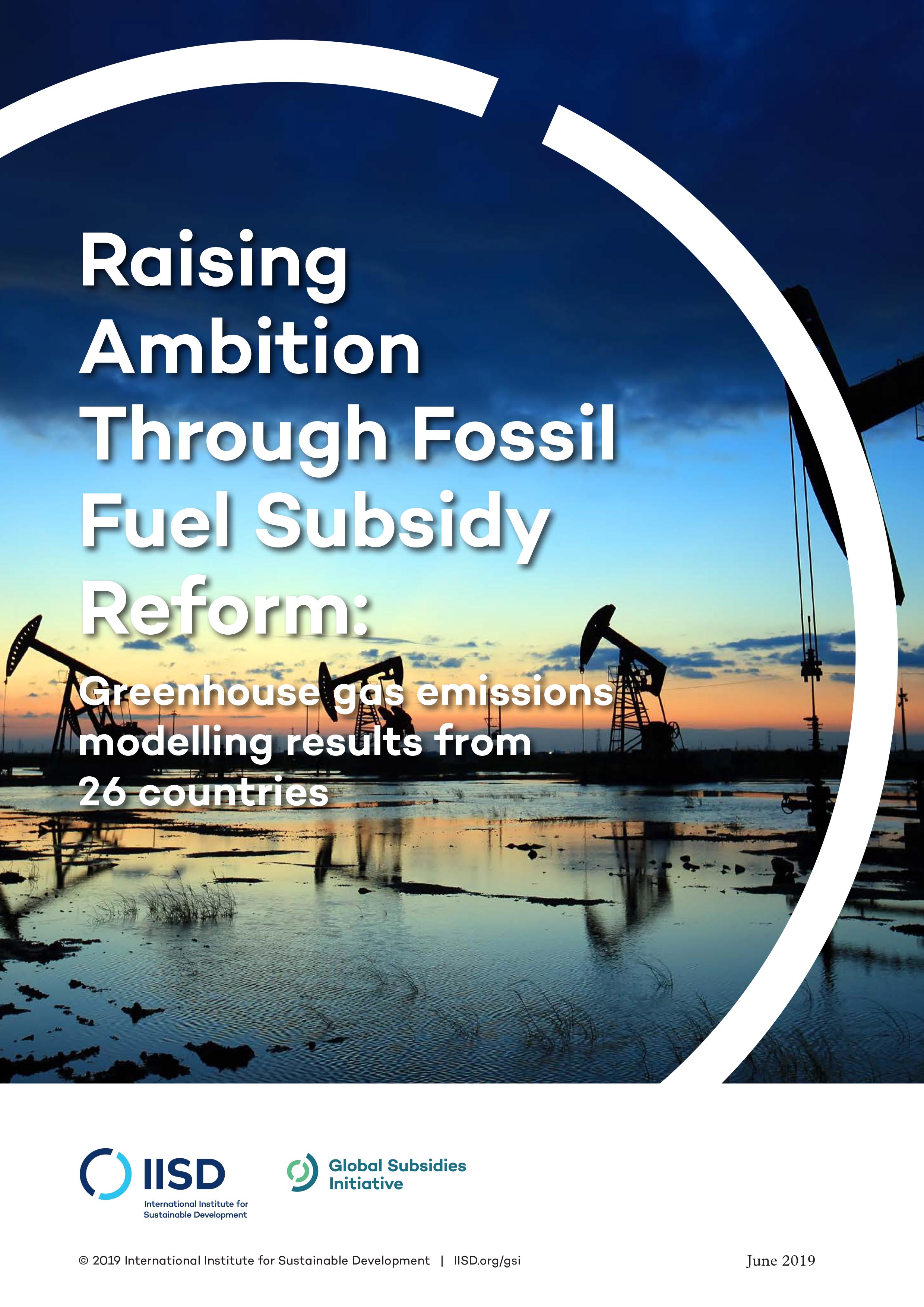 The Privatization Of Fossil Fuel Reform