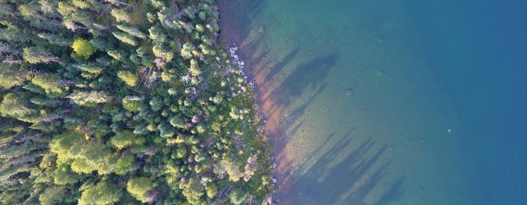 Aerial shot ot turquoise fresh water lake in Ontario Canada bordered by green trees