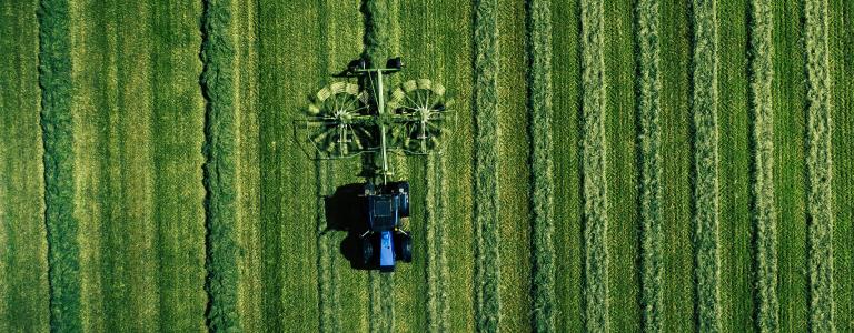 Qu Est Ce Qu Un Projet Greenfield Foreign Investment In Decline An Opportunity For More Responsible And Sustainable Food Systems International Institute For Sustainable Development