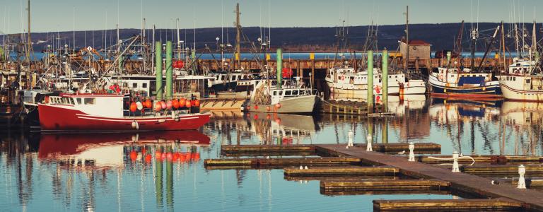 Colourful fishing boats in a harbour in Nova Scotia.