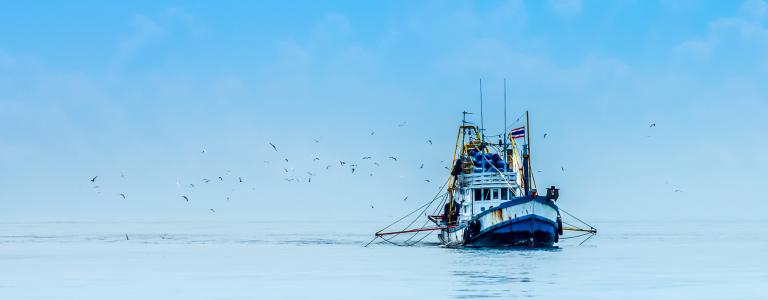 Fishing boat on open ocean surrounded by seagulls.