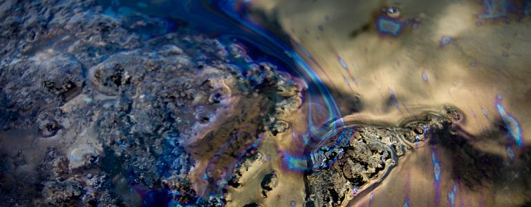 Oil slick on the surface of a freshwater lake