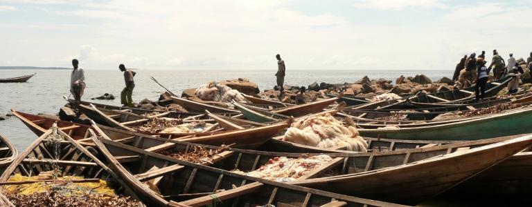 Fishing boats line the shore of a beach in Tanzania with people in the distance
