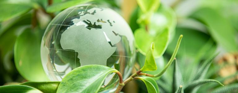 Glass sphere in plants