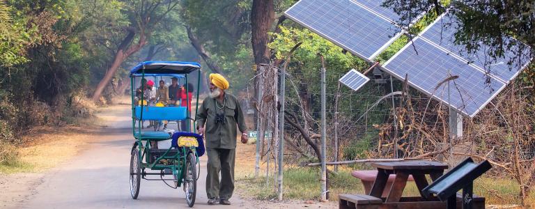 Man walks near solar panels