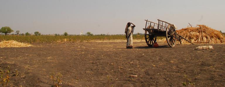 Farmer in dry Karnataka India