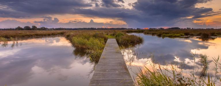 A boardwalk across a marsh at sunset
