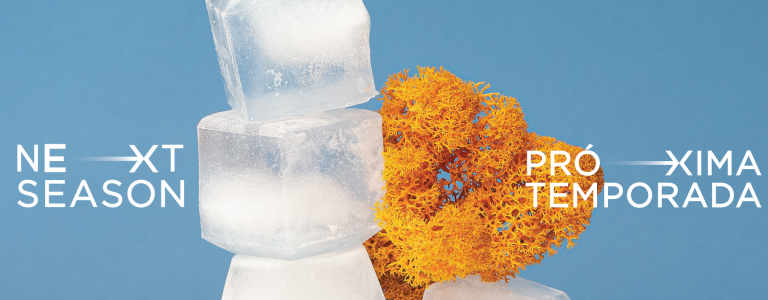 Ice cubes and coral sculpture depicting climate change
