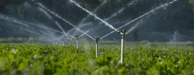 irrigation-agriculture