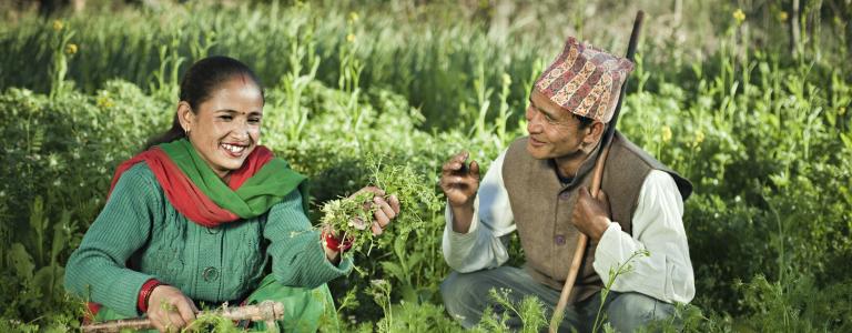Nepali man and woman gardening