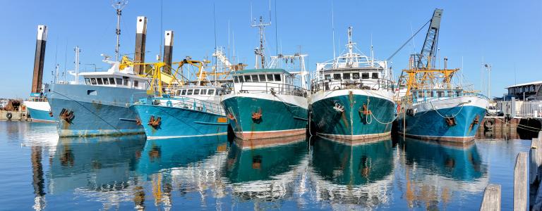 Trawlers Moored at Fremantle Fishing Harbour on a Clear Winter Day, Western Australia
