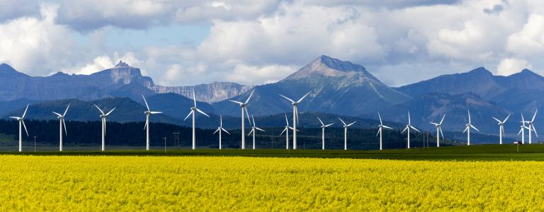 Wind turbines against mountains and a canola field in Canada