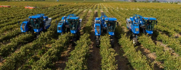 Aerial photo of grape harvesters harvesting grapes in the cape winelands in South Africa