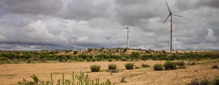Wind turbines in the cactus-dotted Thar desert in India.