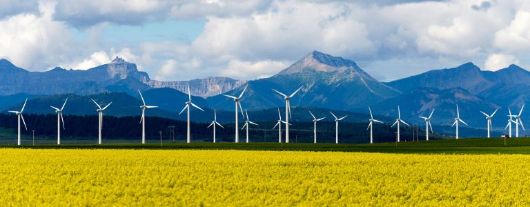 Wind turbines stand in front of mountains and behind a yellow field.