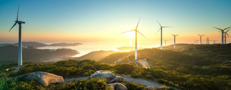 Wind Energy SAVi 