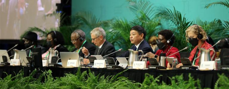View of the dais at COP 15 in December 2022