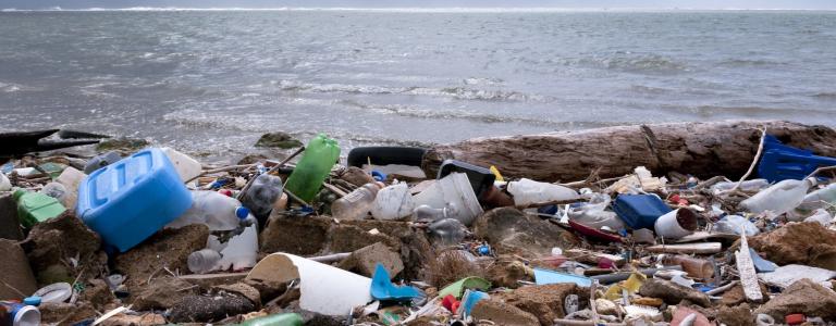Plastics Pollution on Beach