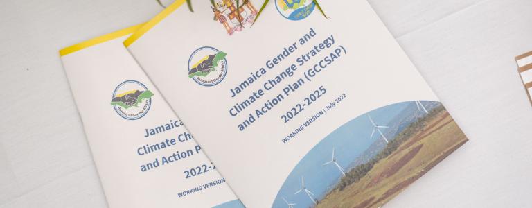 Two copies of the new Jamaica Gender and Climate Change Strategy and Action Plan 2022-2025