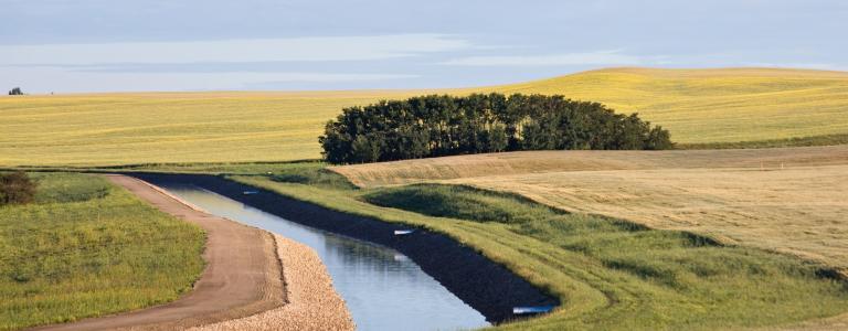 New irrigation canal