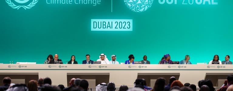 High-level officials gather for a plenary at COP 28.