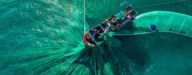 Workers on a boat catch fish with a net in Vietnam.
