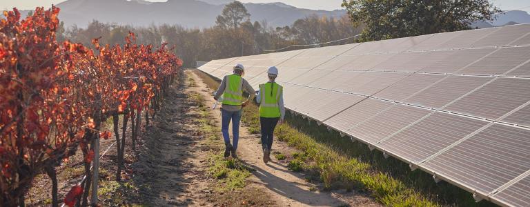 Technicians walk past solar panels on a farm with mountains in the distance.