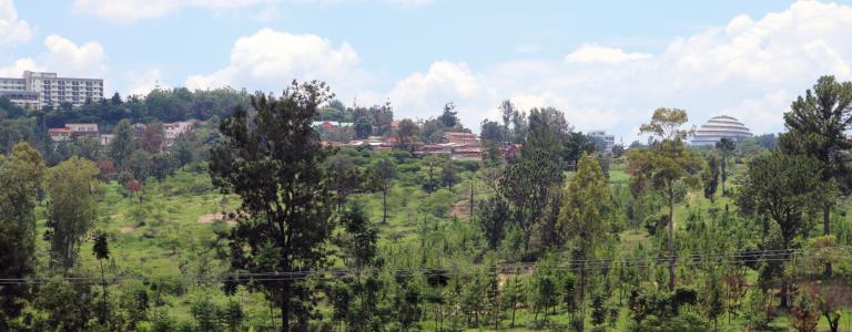 Urban Tree Planting Kigali SUNCASA