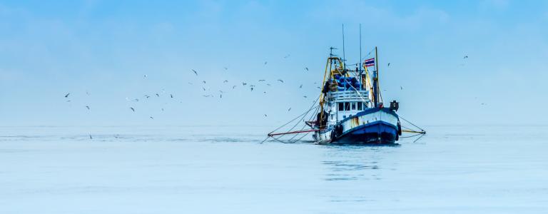 Boat fisheries subsidies