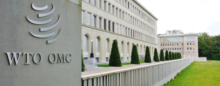 Side view of the World Trade Organization building.
