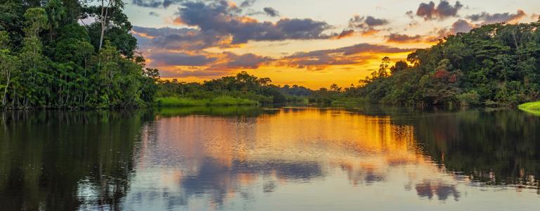 Reflection of a sunset by a lagoon inside the Amazon Rainforest Basin. The Amazon river basin comprises the countries of Brazil, Bolivia, Colombia, Ecuador, Guyana, Suriname, Peru and Venezuela.