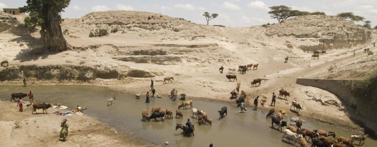 River in Namibia