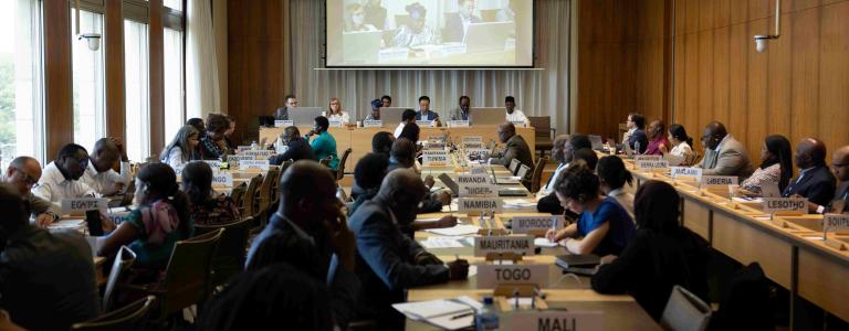 Digital trade meeting WTO, July 2024