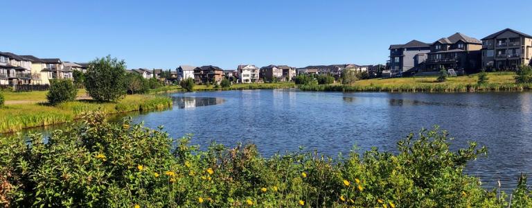 Stormwater pond in a community